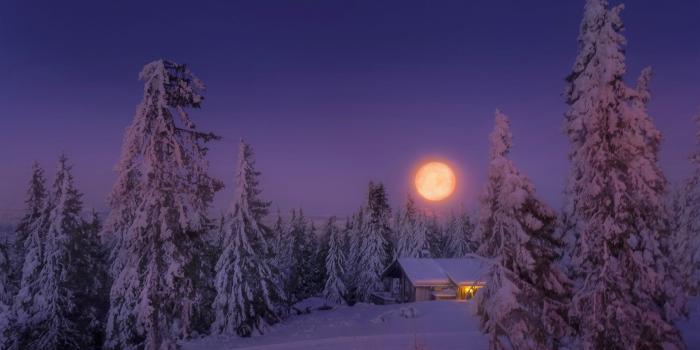 1920x1200 Full Moon on a Winter Night HD Wallpaper | Background Image