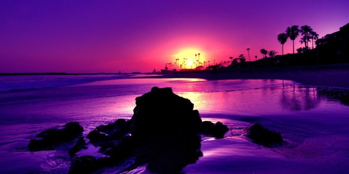 1920x1080 65+ Purple Beach HD Wallpapers - Download at WallpaperBro