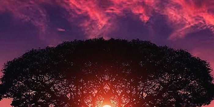 1242x2208 Iphone 6 Plus - Iphone 6 Purple Sky (#2220690) - HD Wallpaper Download