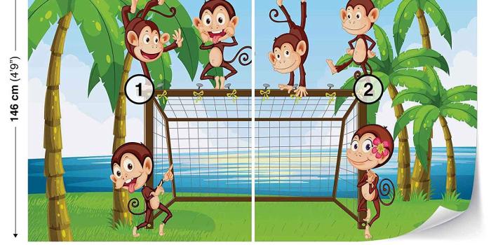 1500x1500 Football Monkeys Cartoon Wall Mural Photo Wallpaper Room Décor