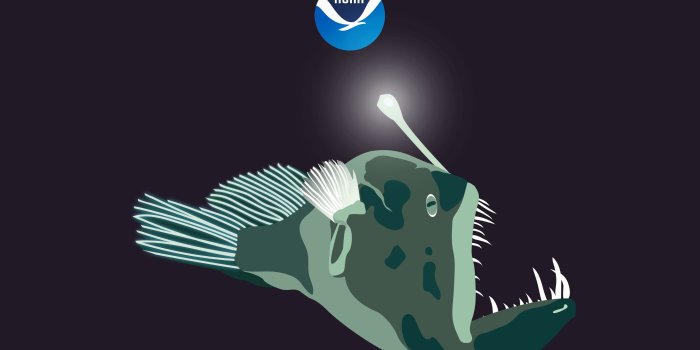 2880x1880 NOAA's National Ocean Service: Wallpaper