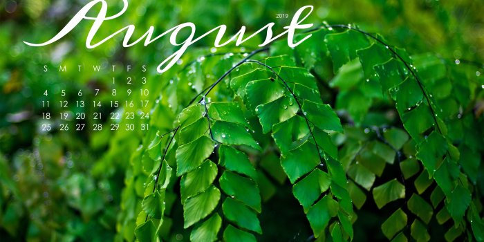 3360x2100 Free Downloadable Computer Wallpapers | Life Out of Bounds