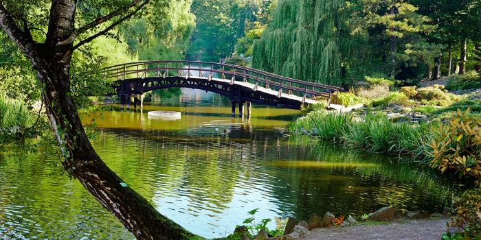 2000x1333 Beautiful Landscape with Bridge HD Wallpaper | Gallery Yopriceville