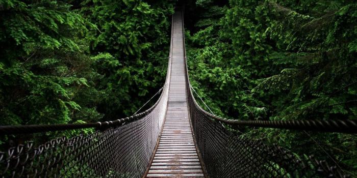 1920x1080 Beautiful Forest Bridge HD wallpaper