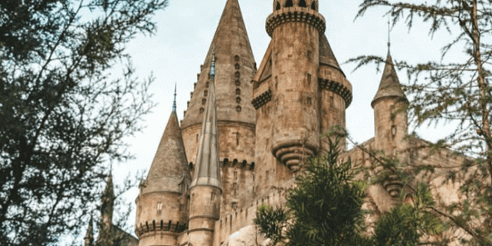 750x1334 Judy Wolf on Castles and Chateaux in 2019 | Harry potter