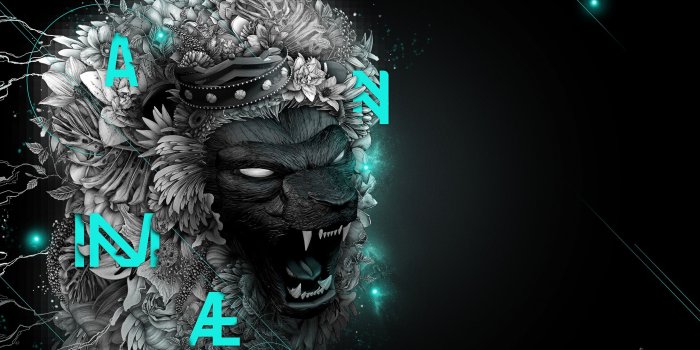 2560x1440 1440p Wallpapers | HD Background Images - Wallpaper Cart