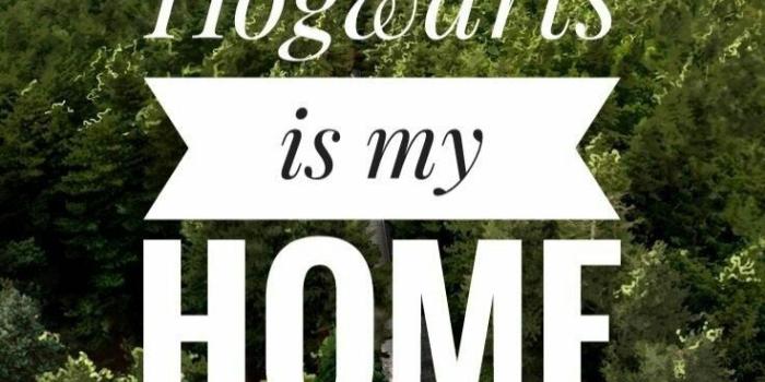 736x1325 papel de parede de harry potter | Tumblr