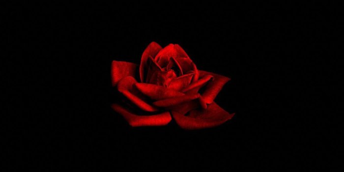 1024x768 Dark Love Wallpapers