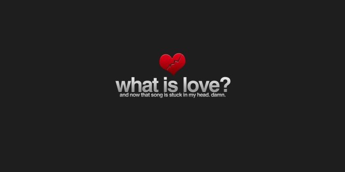 1920x1200 The picture is love what is love what is love Wallpaper Love - Phone