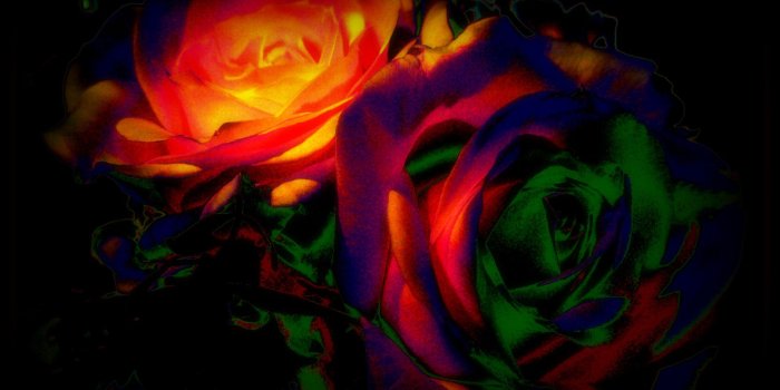 1666x1266 Dark Love Pair (id: 184186) | BUZZERG