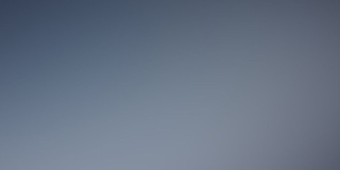 1125x2436 iPhoneXpapers - sb91-puppy-dark-love-blur