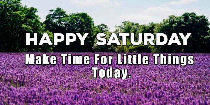 1280x800 15+ Saturday Morning Wallpapers - Download at WallpaperBro