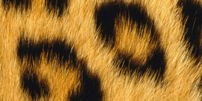 750x1334 40 Best iPhone 6 Wallpapers & Backgrounds in HD Quality