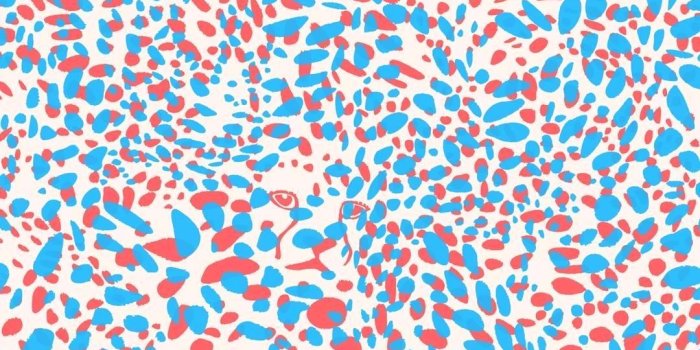 1080x1080 cheetah print wallpaper – whiteboutiquehotel.com