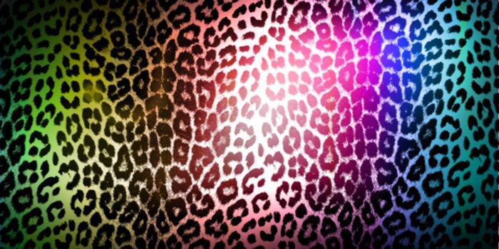 1366x768 Download Animal Print Wallpaper Hd On Barraques.cat