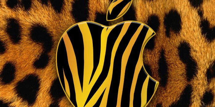 1080x1920 iPhone 8 Plus Wallpapers Tiger Print Plus