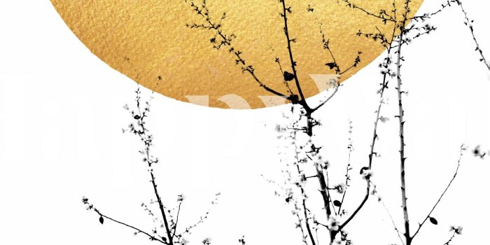 1600x2400 Printed On Demand To Fit Perfect On Your Wall - White Wallpaper