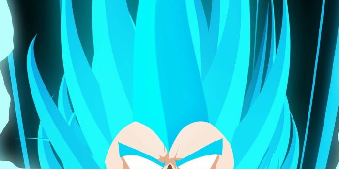 1080x1920 Blue and black printed textile, Dragon Ball Z, Vegeta, portrait