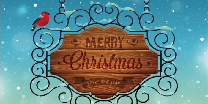 1132x1131 Amazon.com : Leyiyi 10x10ft Merry Christmas Backdrop Red Bird on