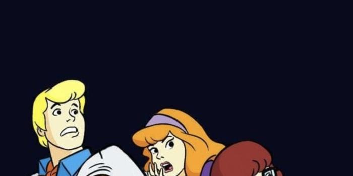 1125x1929 Wallpaper | Backgrounds in 2019 | Funny iphone wallpaper, Cartoon