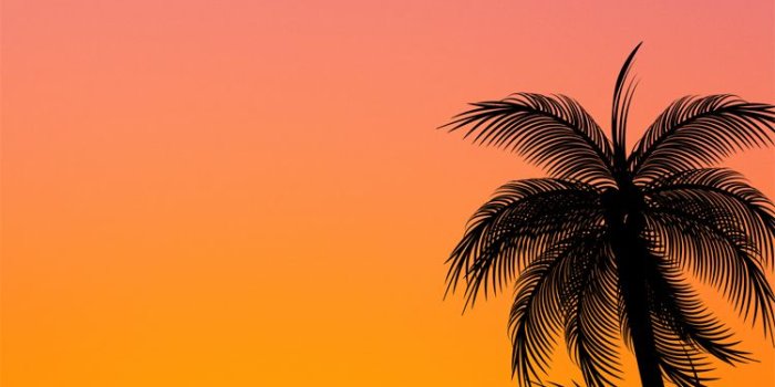 750x1334 Your Weekly Wednesday Wallpaper — The TEKSide Network