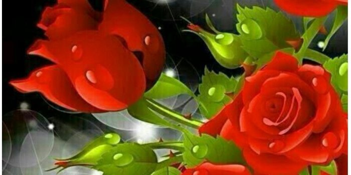 897x1486 Sunday Morning~~J | Sunday | Flowers, Rose, Rose wallpaper