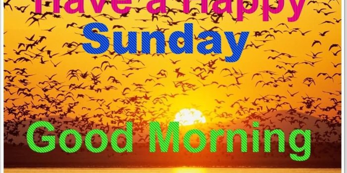 1052x823 Happy Sunday Wallpapers