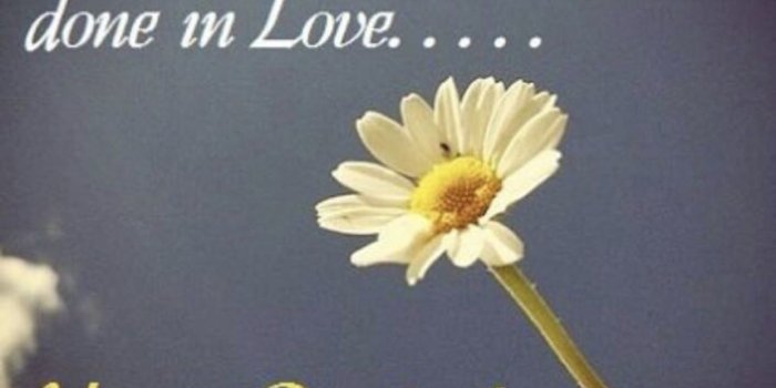 1242x1259 Happy Sunday Inspirations | Daisy Board | Happy sunday quotes