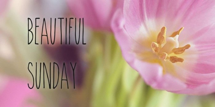 1024x1024 Lulu ✫*¨♥*¨`*.✫*¨*.¸ on Months & Days of the Week Pics