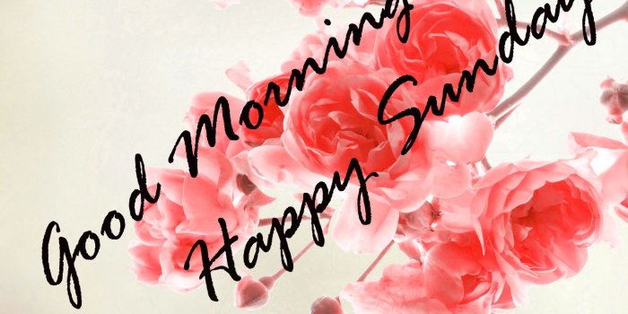 1452x1200 Sunday Good Morning Quotes Images Wishes Wallpaper Photo Pics