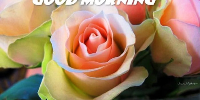 1024x768 Happy Sunday Wallpapers