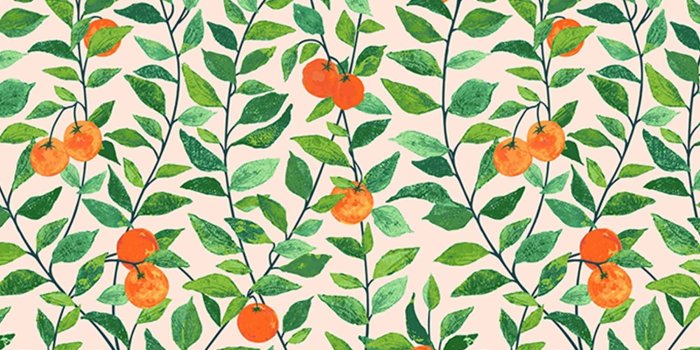 2000x2600 Orange Crush Wallpaper by Nathan Turner, Peach