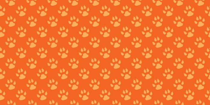 1920x1920 Paw print,paw prints,background,wallpaper,pattern - free photo from
