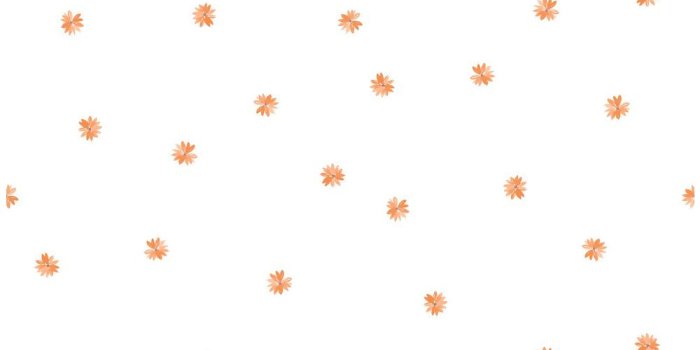 1000x1000 Kids Orange Little Daisy Wallpaper