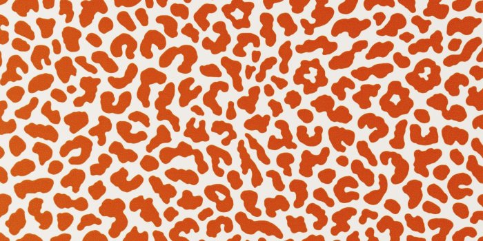 2048x2048 Leopard Print Wallpaper in various colours – Oliver Hayden