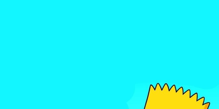 1080x1920 71+ Funny Simpson Wallpapers on WallpaperPlay