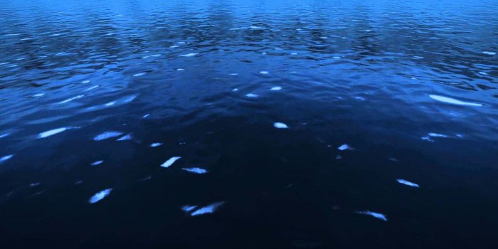 1280x720 Deep Blue Sea - Underwater Free Wallpaper & Backgrounds