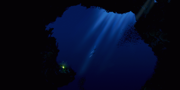 1920x1200 Deep Ocean Wallpaper Group (66+)