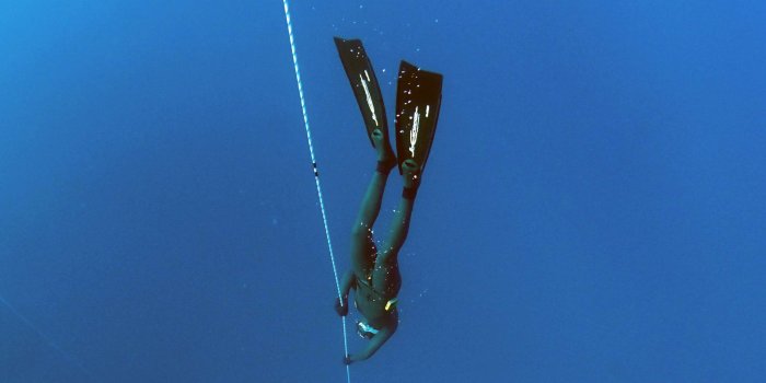 2612x2612 3050544 blue, deep diving, deep ocean, dive, diving, freediving