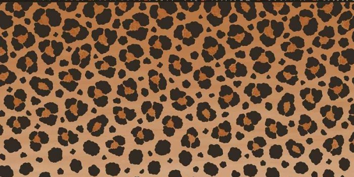 900x900 Cole and Son Ardmore Zulu 109/13060 Wallpaper Border