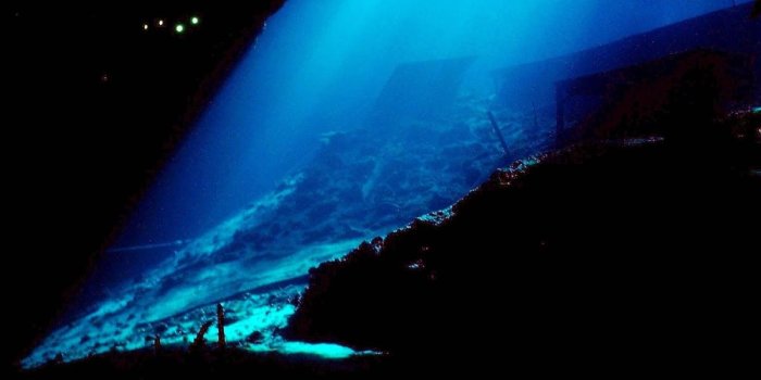 1200x900 High Quality HD | 2018, 15 May) | Deep Sea Wallpapers