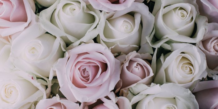 3840x5760 Flowers are always a good idea. Get away from the cliche red roses