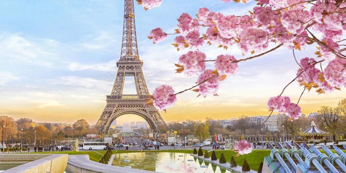 2000x1647 Sasi Wallpaper