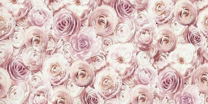 1598x1600 Arthouse Wild Rose Blush Pink Realistic Floral Roses Quality Wallpaper  1915032