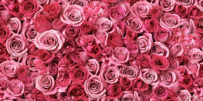 1280x800 PC Wallpapers Love