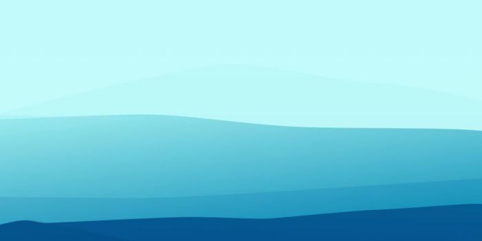 1440x2560 Wallpaper landscape, flat, 4k, 5k, fog, iphone wallpaper, forest