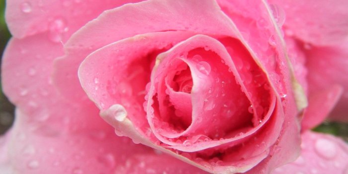 1024x768 Untitled | Kallan Sterling