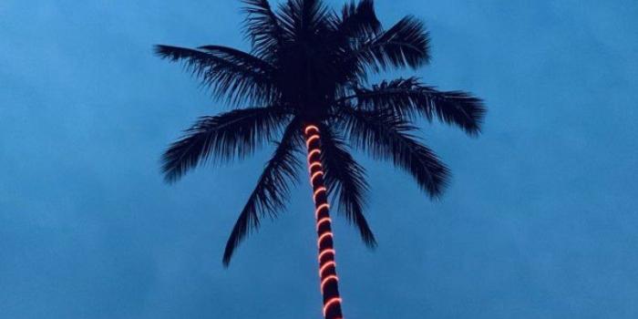 759x1250 Evening blue sky iPhone wallpaper - Idea Wallpapers , iPhone