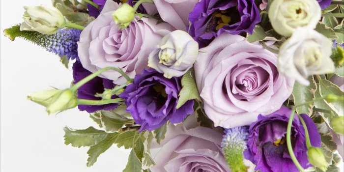 1600x1280 11 Types of Roses for Valentine's Day! - Choose Philippines