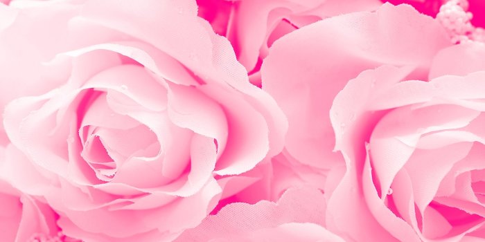 1280x800 MOB Scene – dsm Magazine